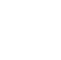 Mentored by Professionals